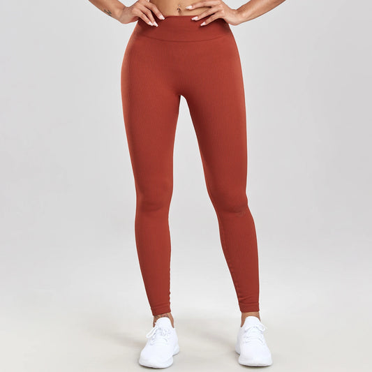 Seamless Ribbed High-Waisted Women's Leggings - MISCOZY